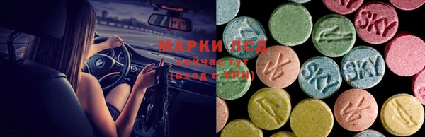 ПСИЛОЦИБИНОВЫЕ ГРИБЫ Верхний Тагил