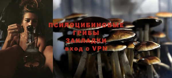 ПСИЛОЦИБИНОВЫЕ ГРИБЫ Верхний Тагил