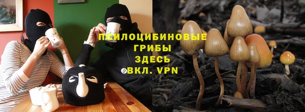 2c-b Верея
